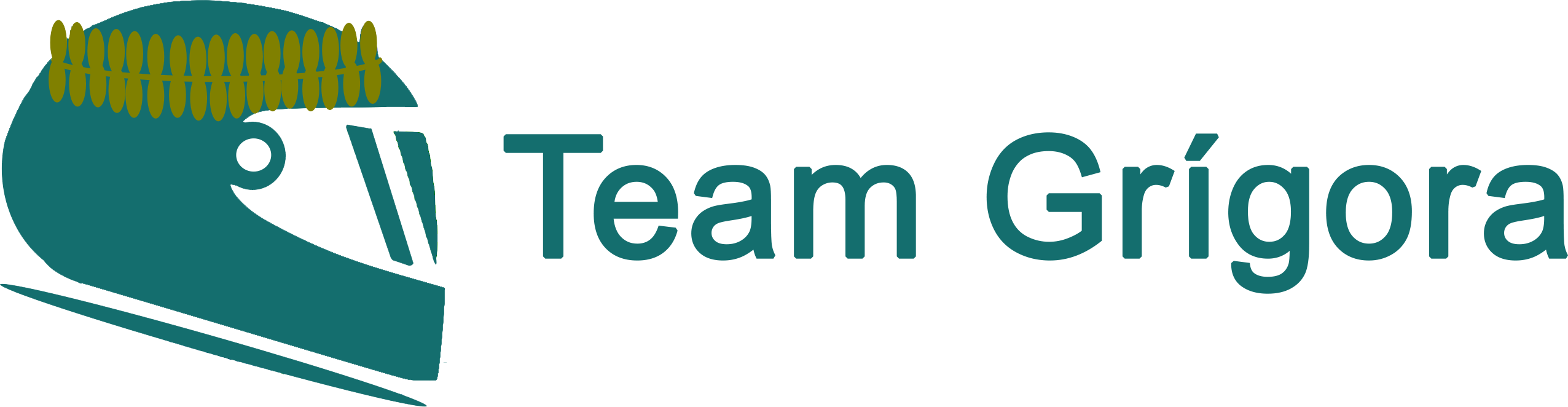 Team Grigora